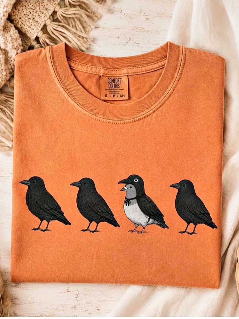 Comfort Colors Raven Graphic Tee Yam